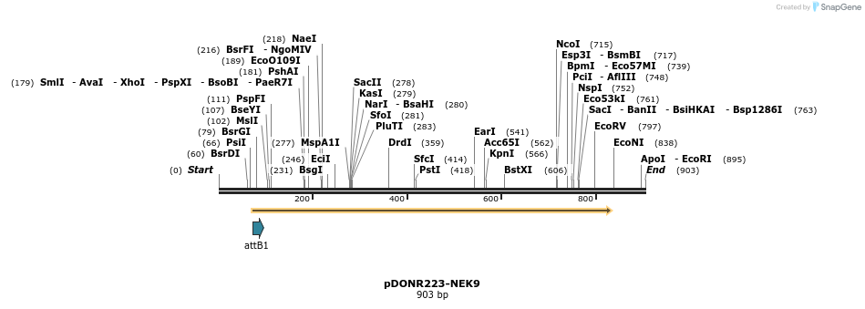 11127_map