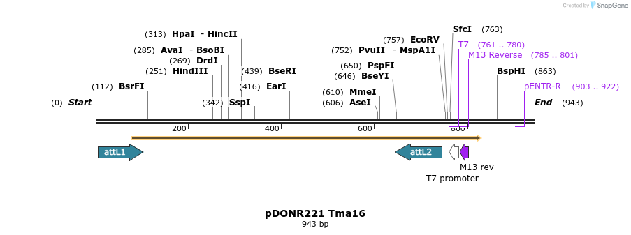 111273_map