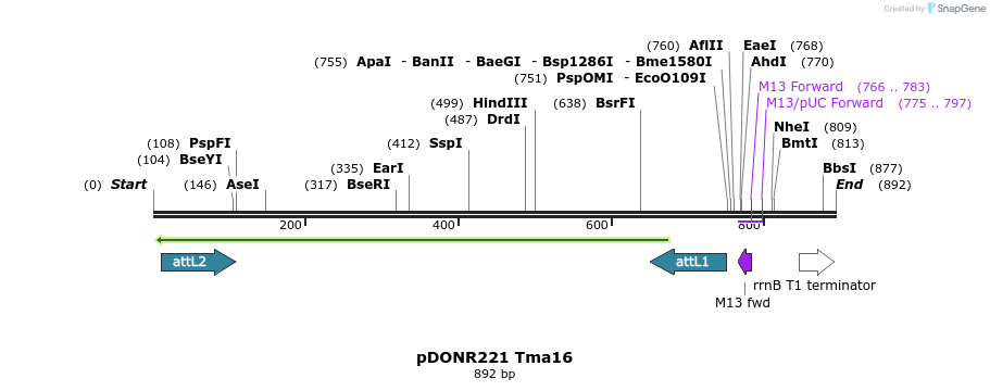 111274_map