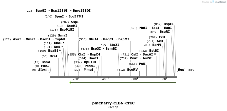 111276_map