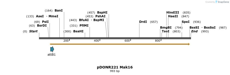 111278_map