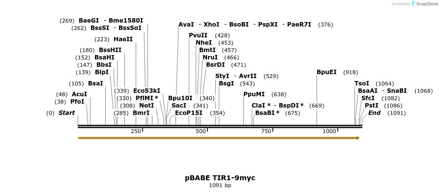 111279_map