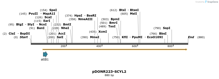 11128_map