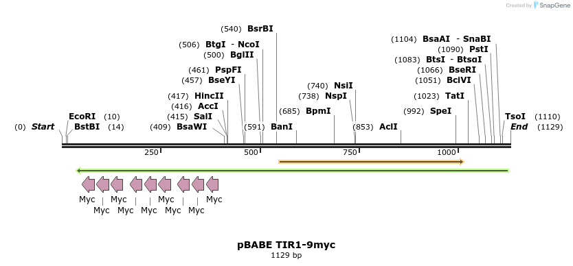 111280_map