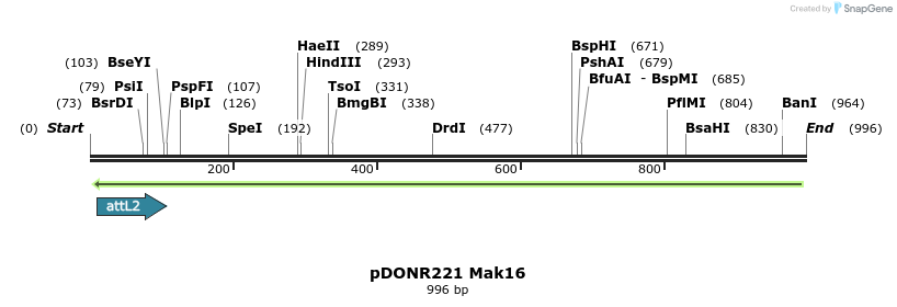111281_map