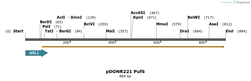 111284_map