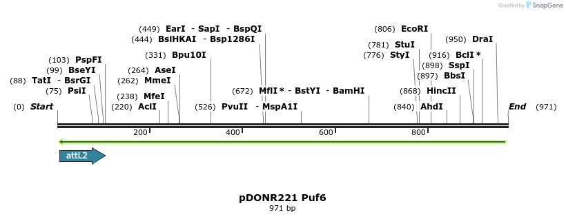 111288_map