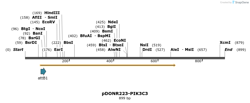 11129_map