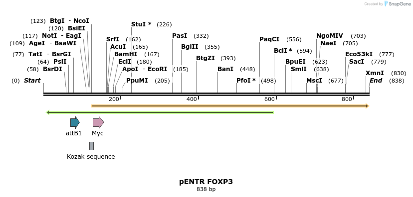 111295_map