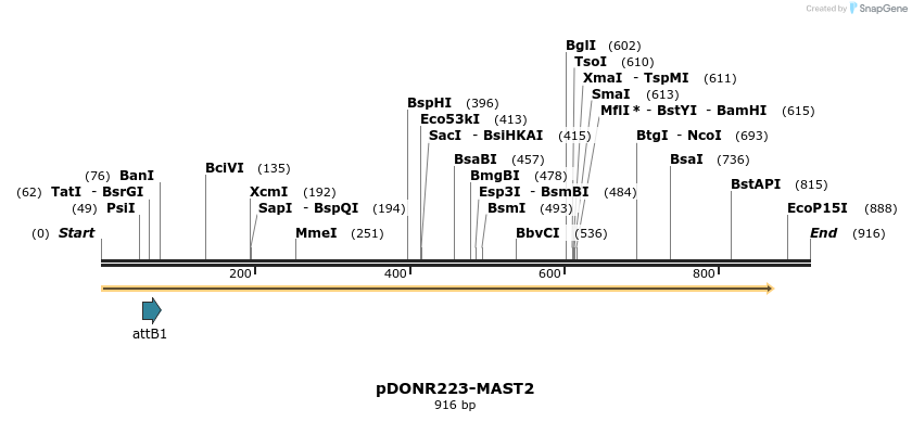 11130_map