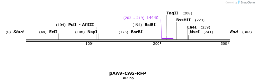 111300_map