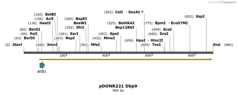111302_map