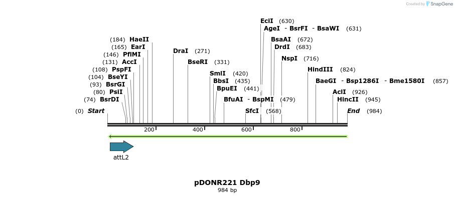 111304_map