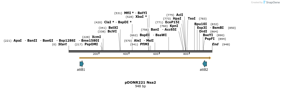 111306_map