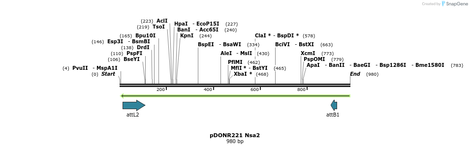 111309_map