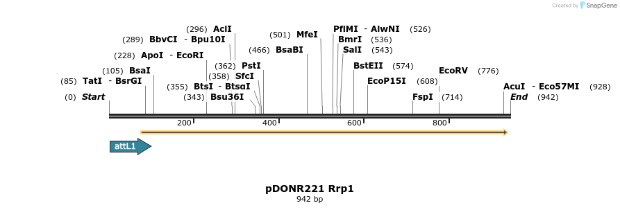 111311_map