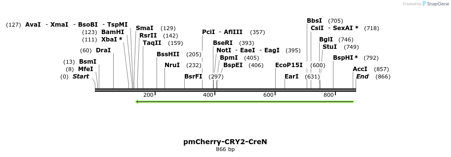 111313_map