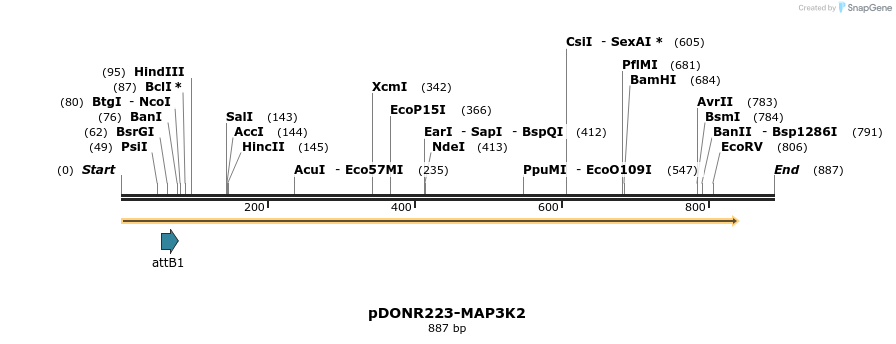 11132_map