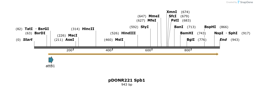111326_map