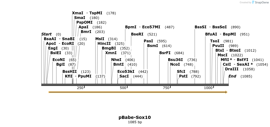 111327_map