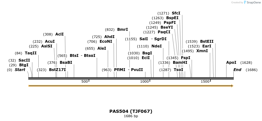 111328_map