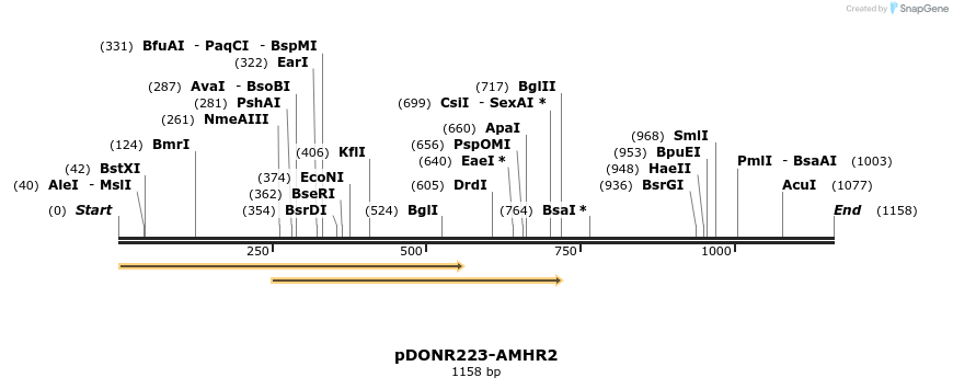 11133_map