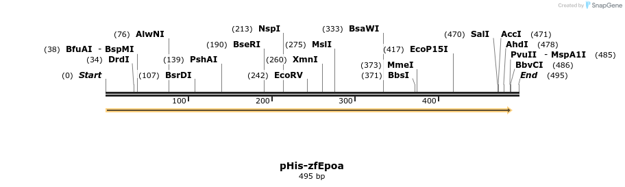 111332_map