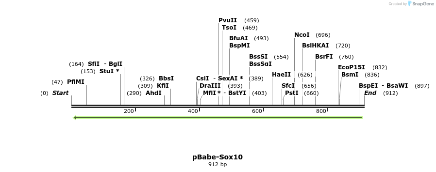 111335_map