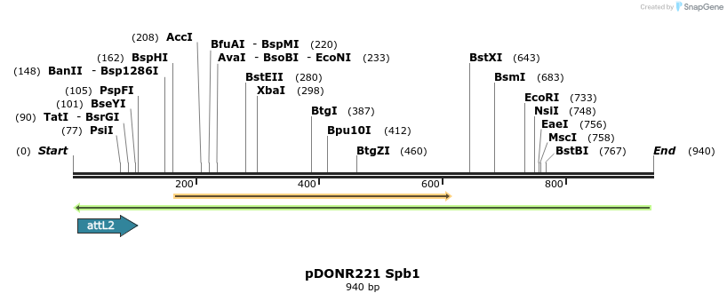 111336_map