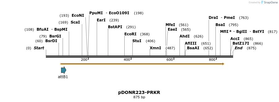 11134_map