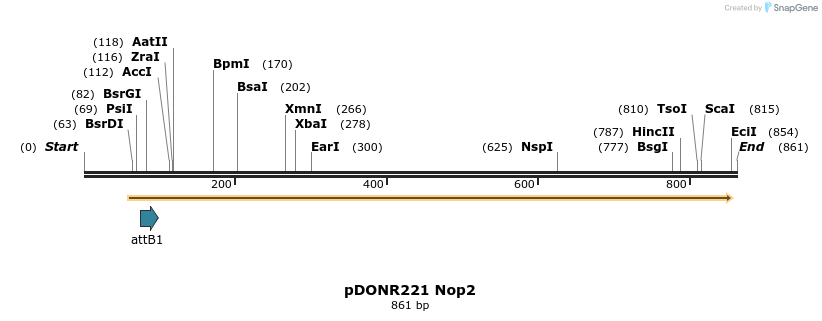 111340_map