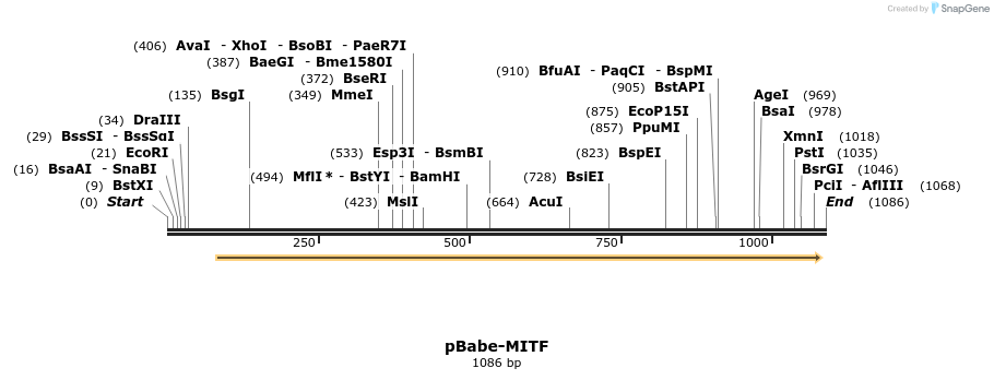 111341_map