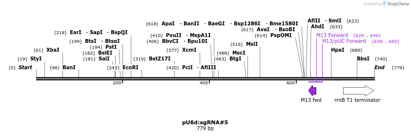 111345_map