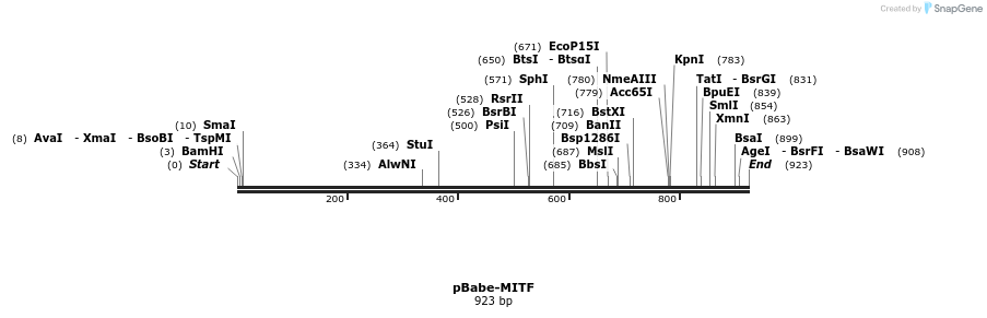 111346_map