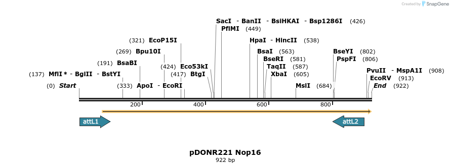 111349_map