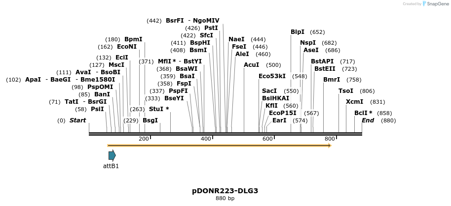 11135_map