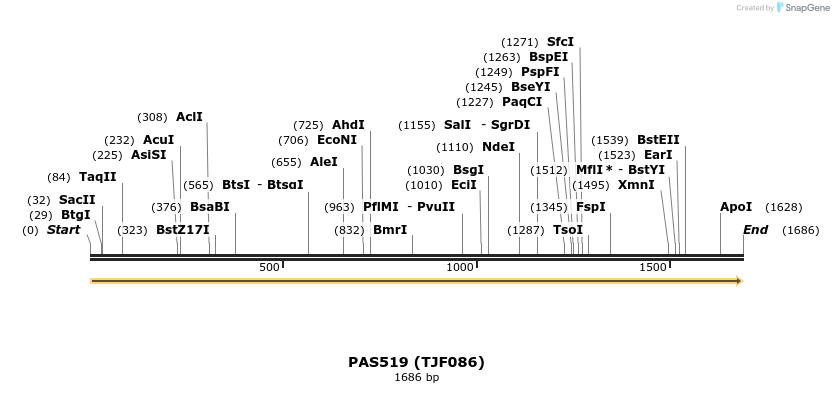 111354_map