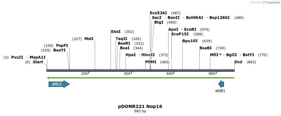 111359_map