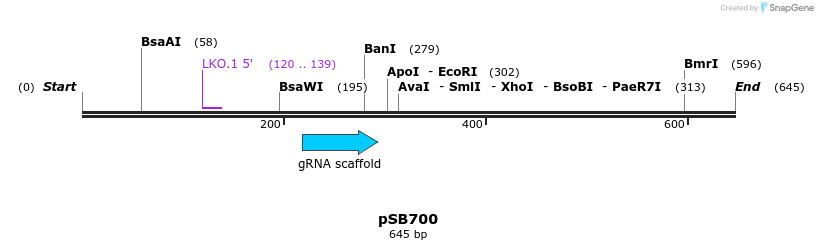 111369_map