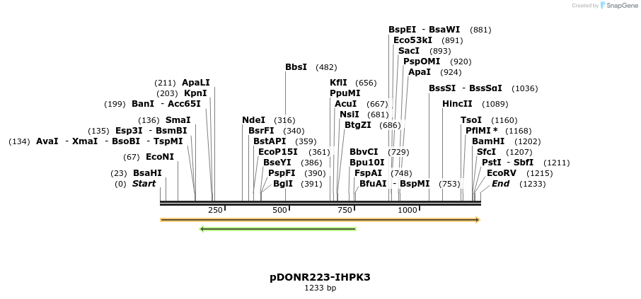 11137_map