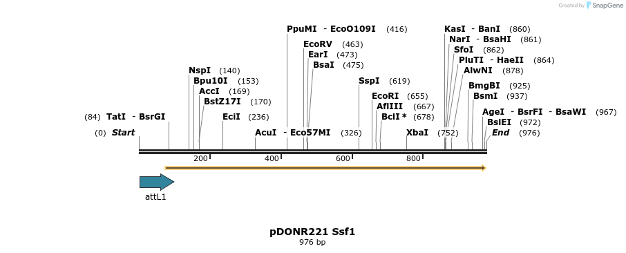111375_map
