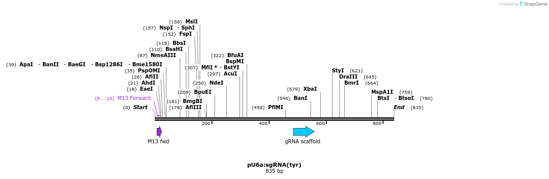111376_map