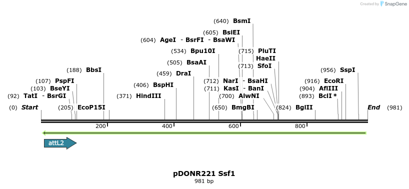 111378_map