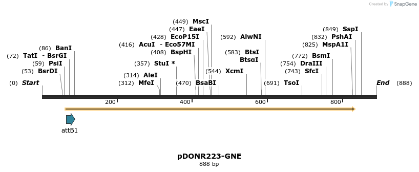 11138_map