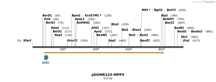 11139_map