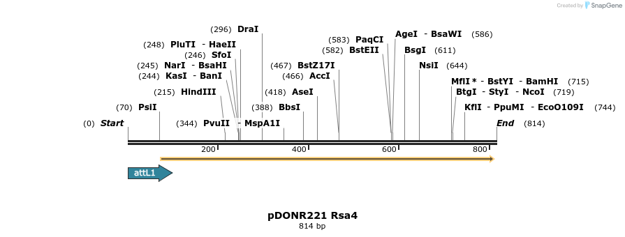 111391_map