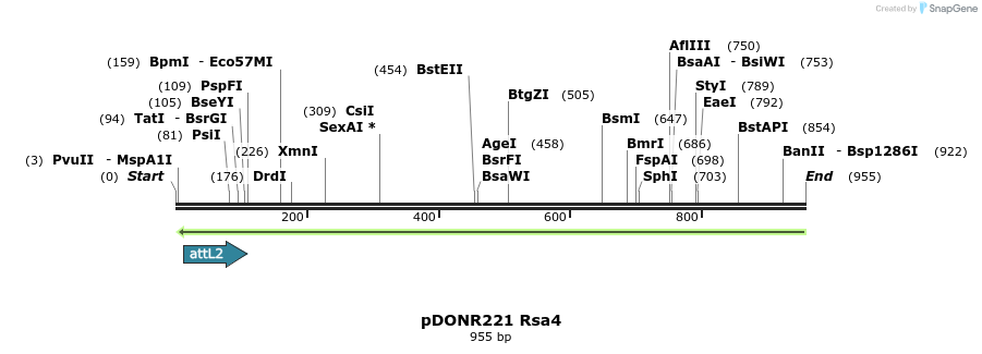 111394_map