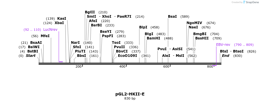 111397_map