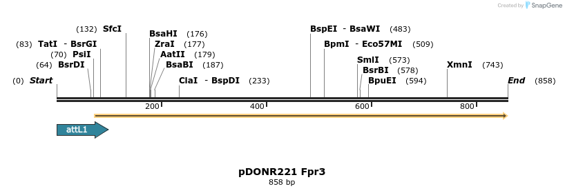 111399_map