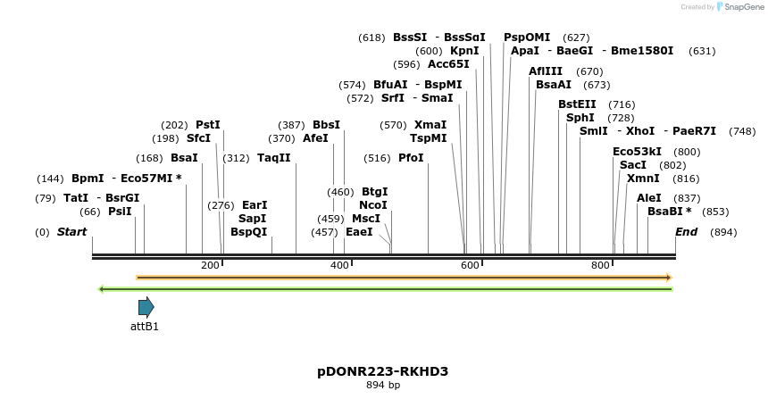 11140_map